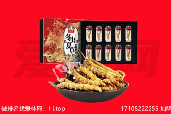营口市鲅鱼圈回收虫草.jpg